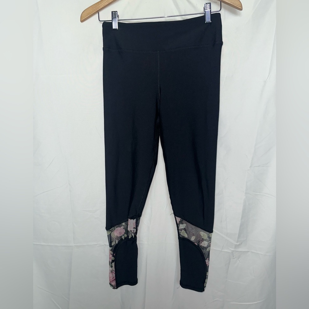 Evolution and Creation Size M